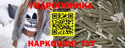 МДПВ Будённовск