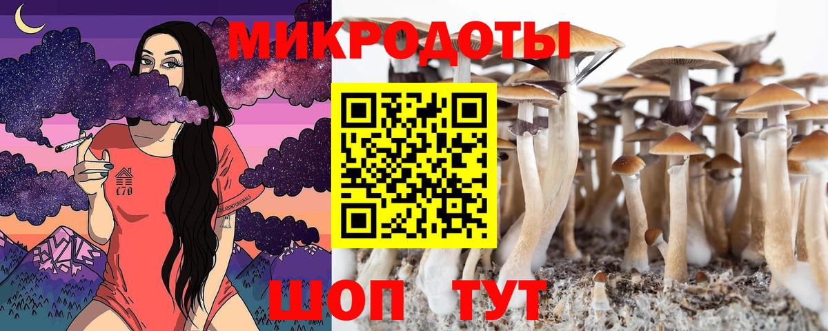 хочу   Галлюциногенные грибы Magic Shrooms  Вход с VPN  Черняховск  Галлюциногенные грибы ЛСД 